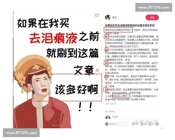 自媒体运营必做关键事项全解析助你高效打造爆款内容实战指南攻略
